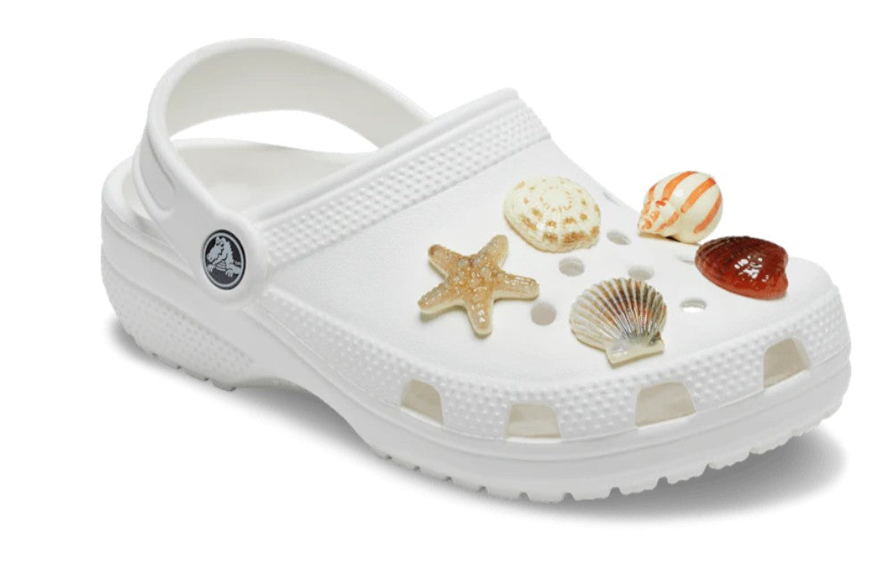 10014671 She Sells Seashells 5Pk