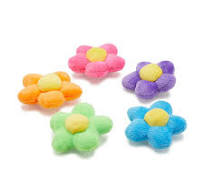 10013262 Plush Flower Power 5Pk Jibbitz