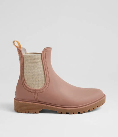 Laurina2 By Diana Ferrari - Coffee